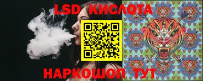 дмт Краснодар