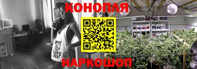 крисы Краснокаменск